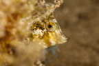 Underwater